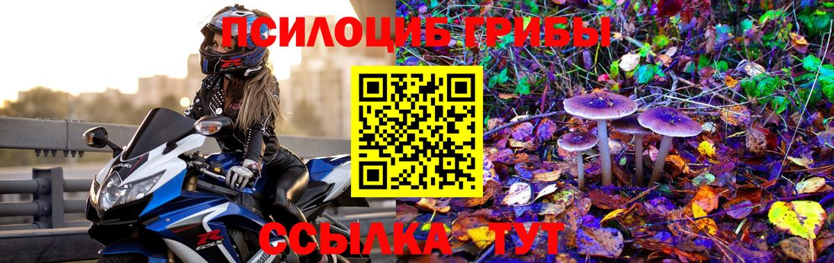 Галлюциногенные грибы Magic Shrooms Южно-Сахалинск
