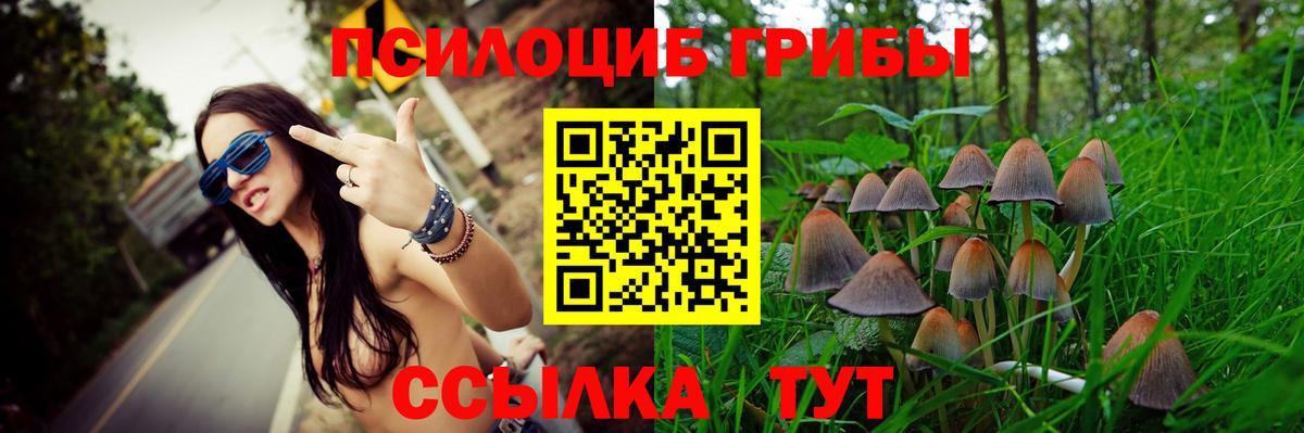 Южно-Сахалинск  Псилоцибиновые грибы GOLDEN TEACHER  наркошоп  Вход с VPN 